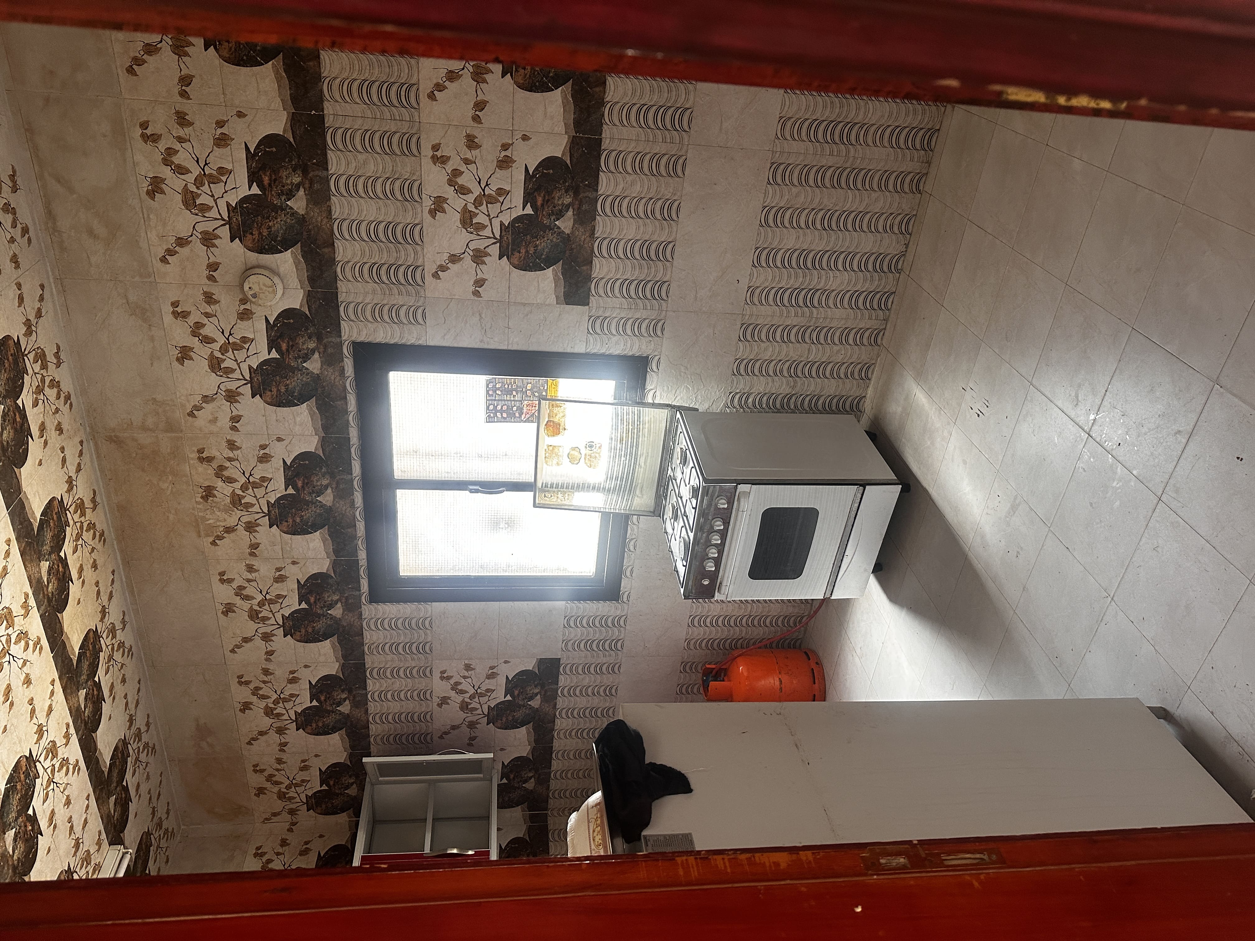 ليالي الشمال - صورة 4