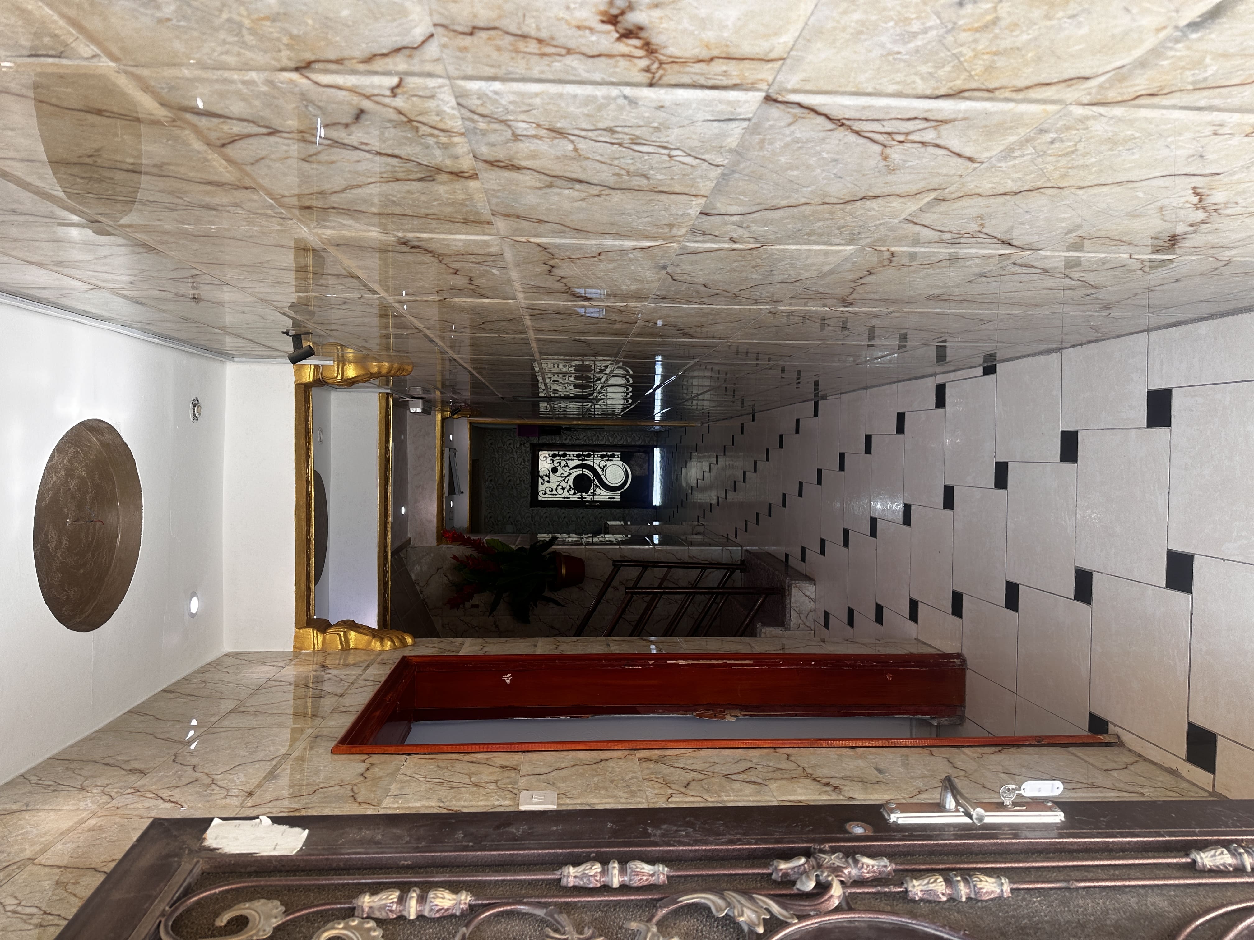 أحلام الشمال