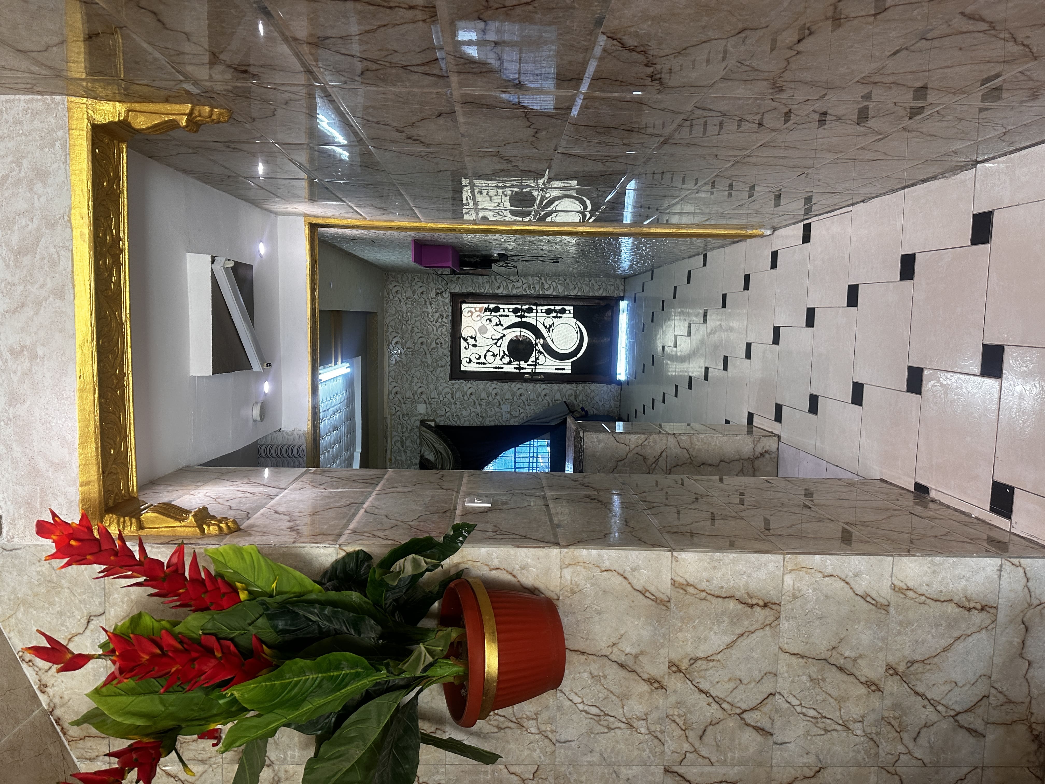 أحلام الشمال - صورة 2