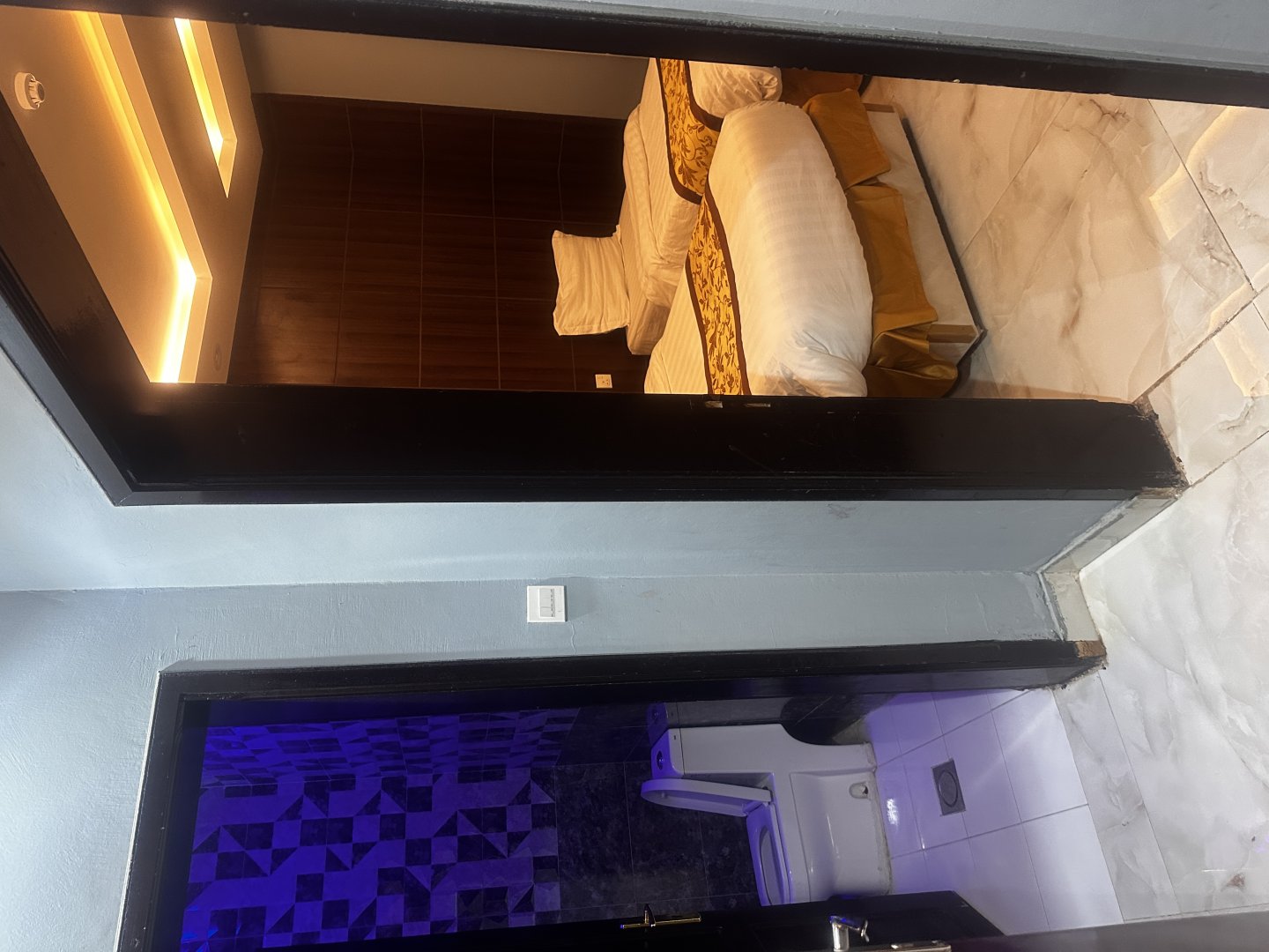 الجزيره - صورة 10